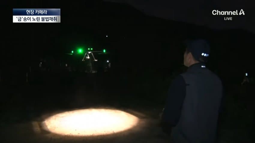 채널a) 송이버섯 1kg에 160만원...밤낮 추격전 (12)
