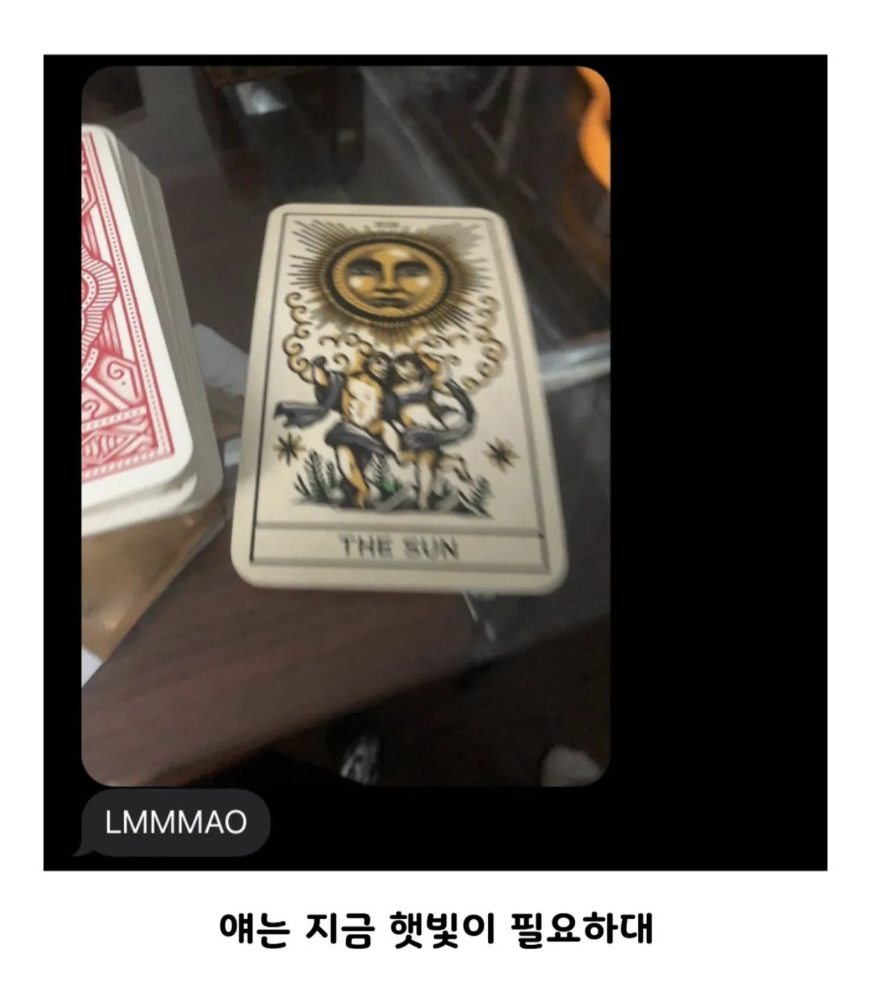 친오빠가 병들어가는 식물한테 타로했음 (2)