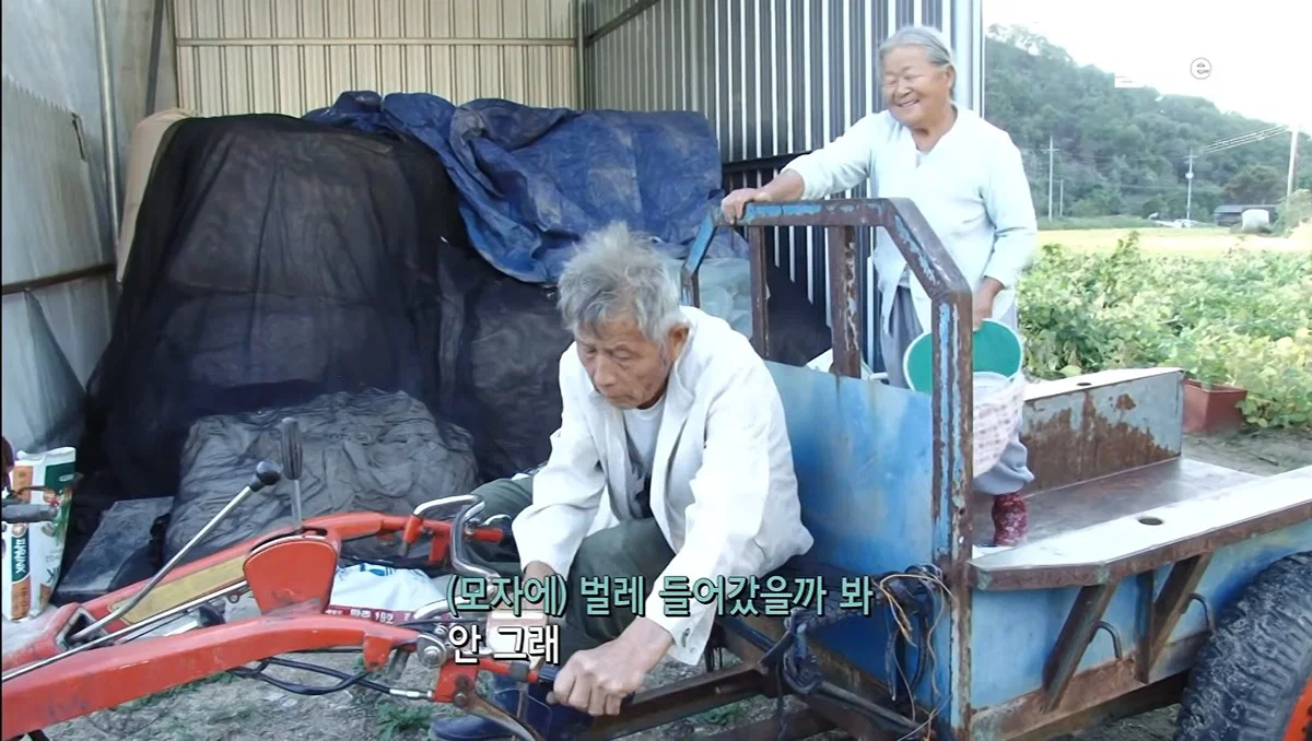 역시 사랑받는 여자는 티가난다 할머니 표정이 처음부터 끝까지 밝으시네 (4)
