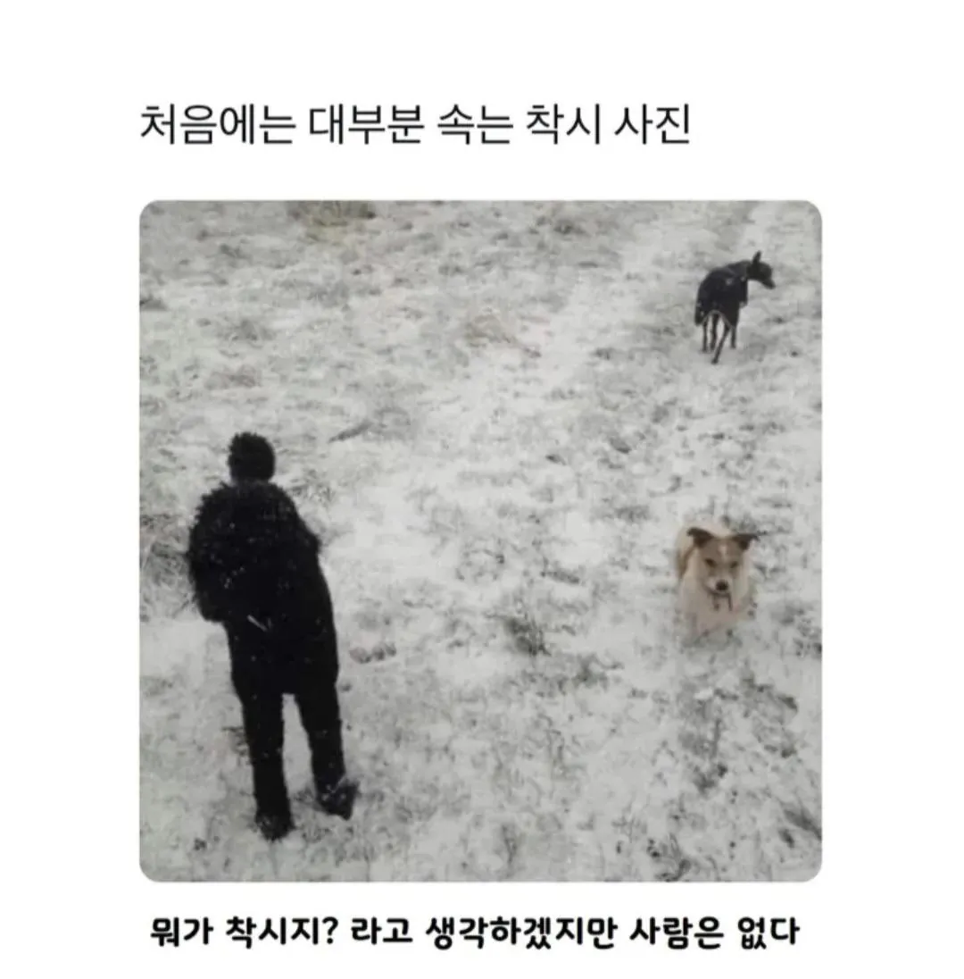 대부분 속는 착시 사진
