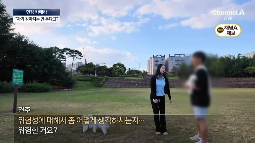 채널a) 단속원 퇴근하자...공원이 '개판' (29)