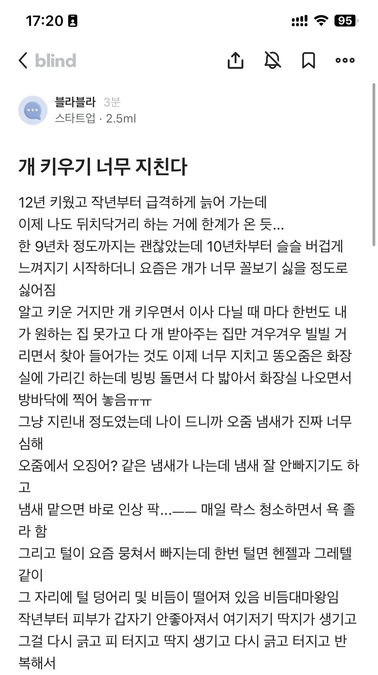 노견되니까 개 키우기 지친다.blind