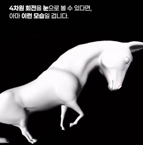 만약 if...4차원을 눈으로 볼 수 있다면.mp4