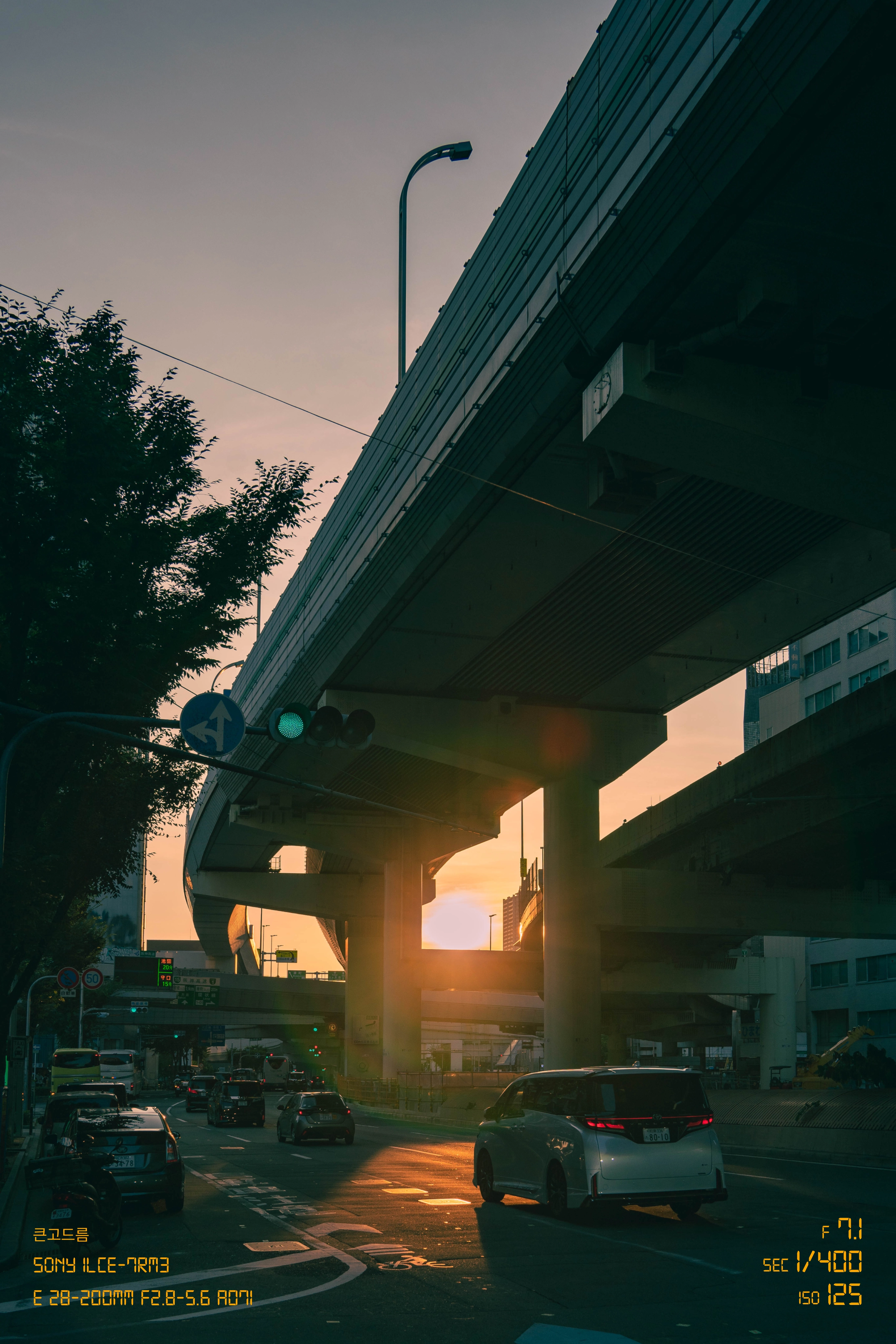 [21p] 가을 노을 (20)