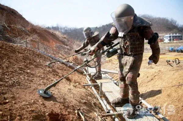 매우 폭력적인 사진 한 장