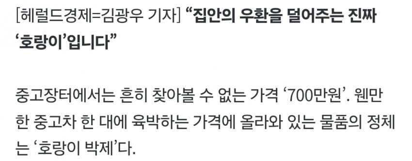 “여기가 한국 맞아?” 진짜 호랑이 ‘700만원’에 대놓고 거래 (3)