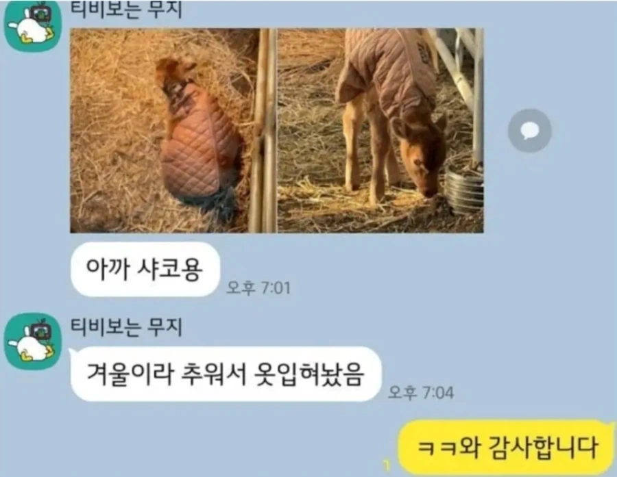 게임 중에 탈주한 이유 (2)