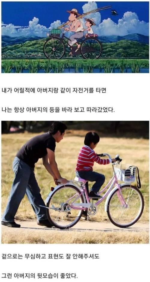 자전거와 아버지의 등