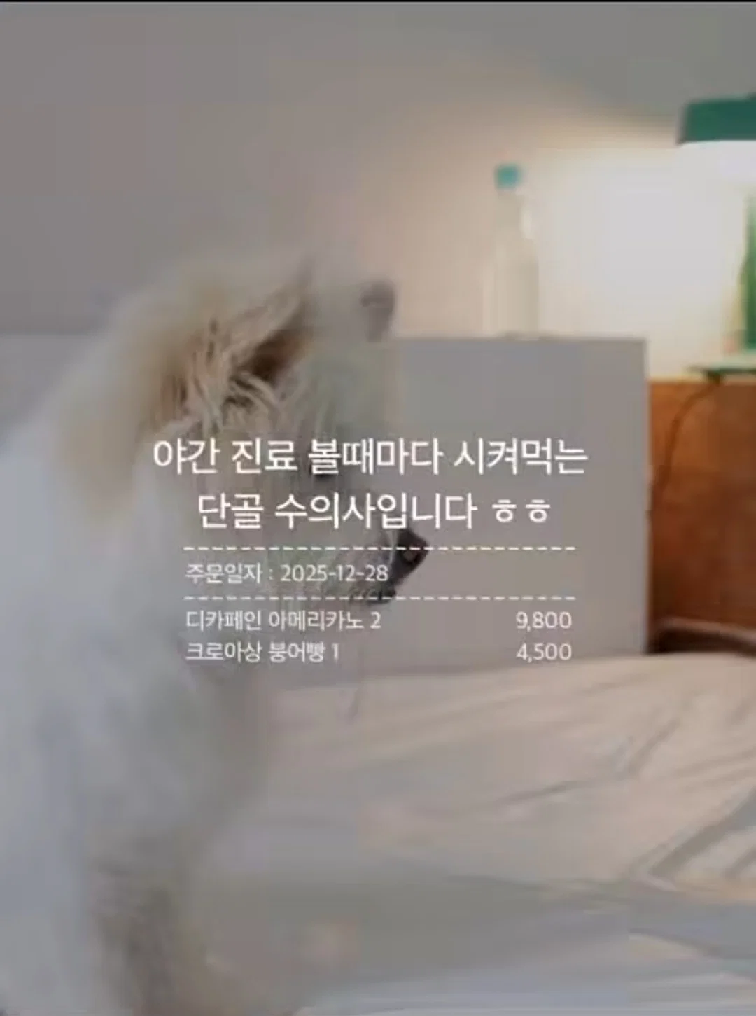와사비 빼주세요 아이의 인생 첫 초밥 도전입니다 (43)