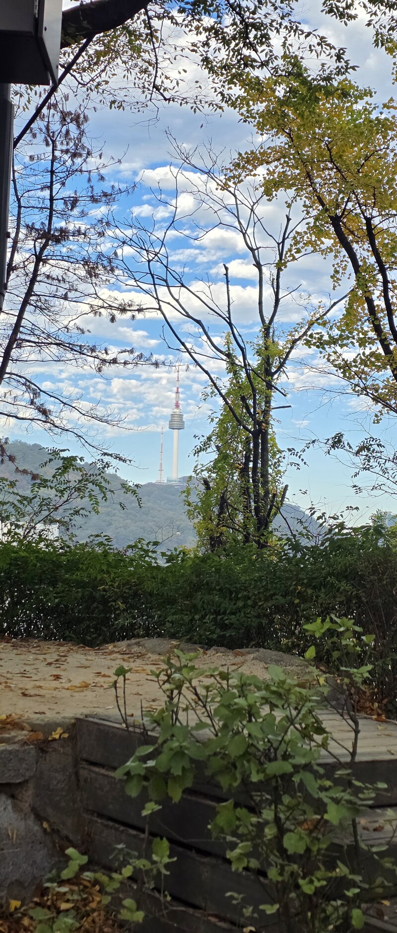 서울에서 남산타워,롯데타워를 볼수있는 공원 (13)
