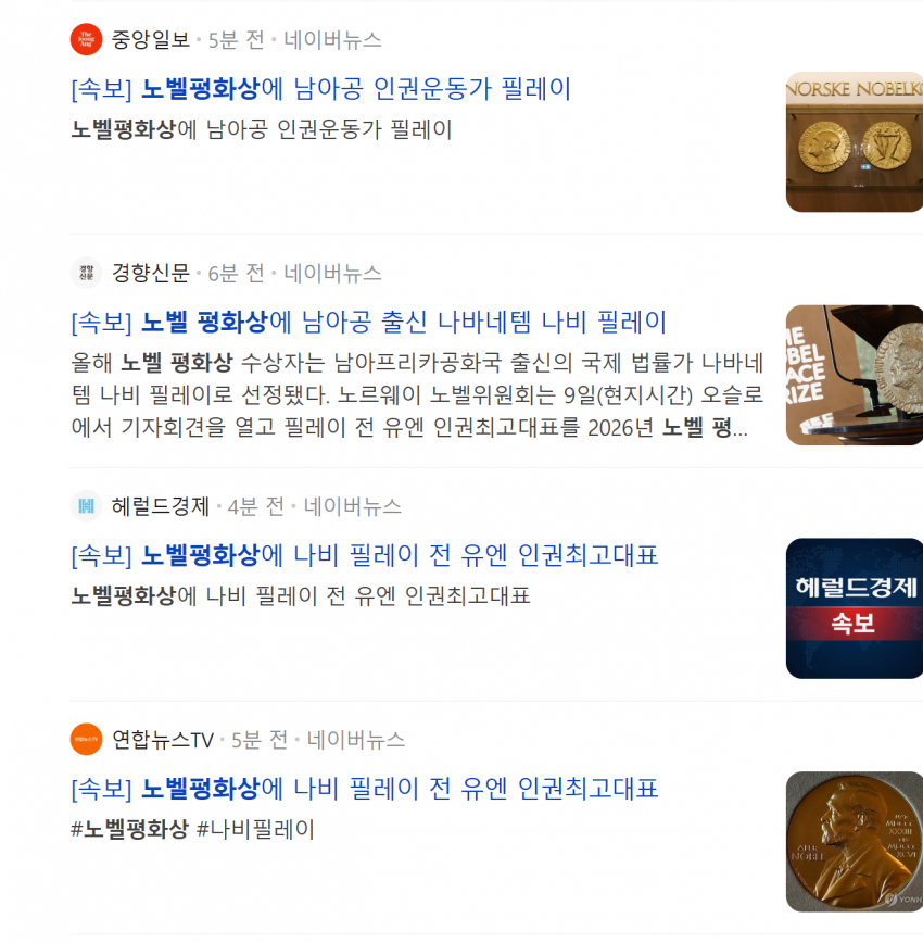 2026 노벨 평화상: 나비 필라이(전 UN 인권고등판무관/ICC재판관) (5)