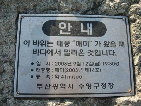태풍의 엄청난 위력에 육지로 올라온 돌과 테트라포드 (3)
