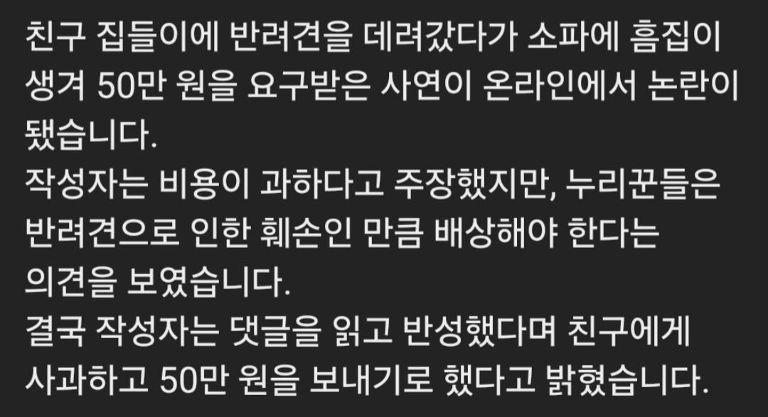친구 집들이에 개를 데리고 갔더니 벌어진 일 (11)