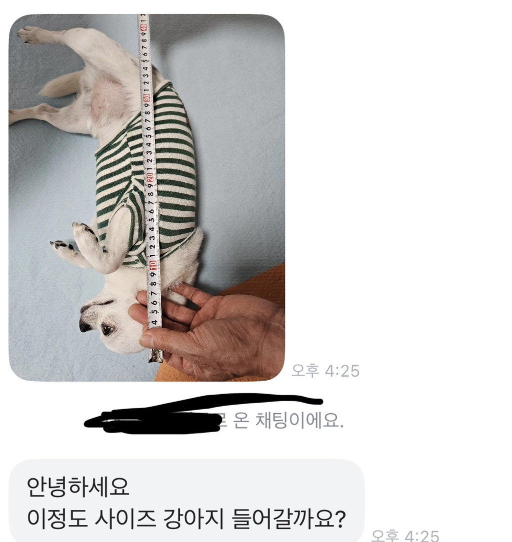 당근에 강아지 집 올려놨는데 문의가 너무 귀엽지않아???