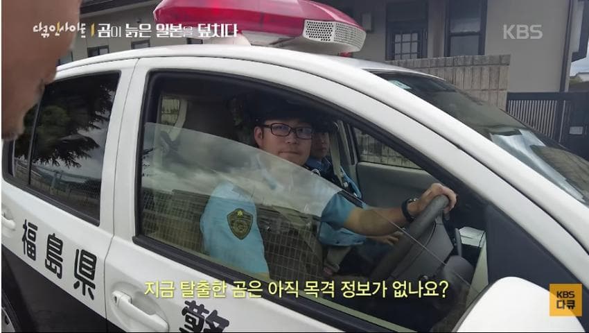곰이 늙은 일본을 덮치다. 여고생 덮친 아키타 반달곰,, (46)