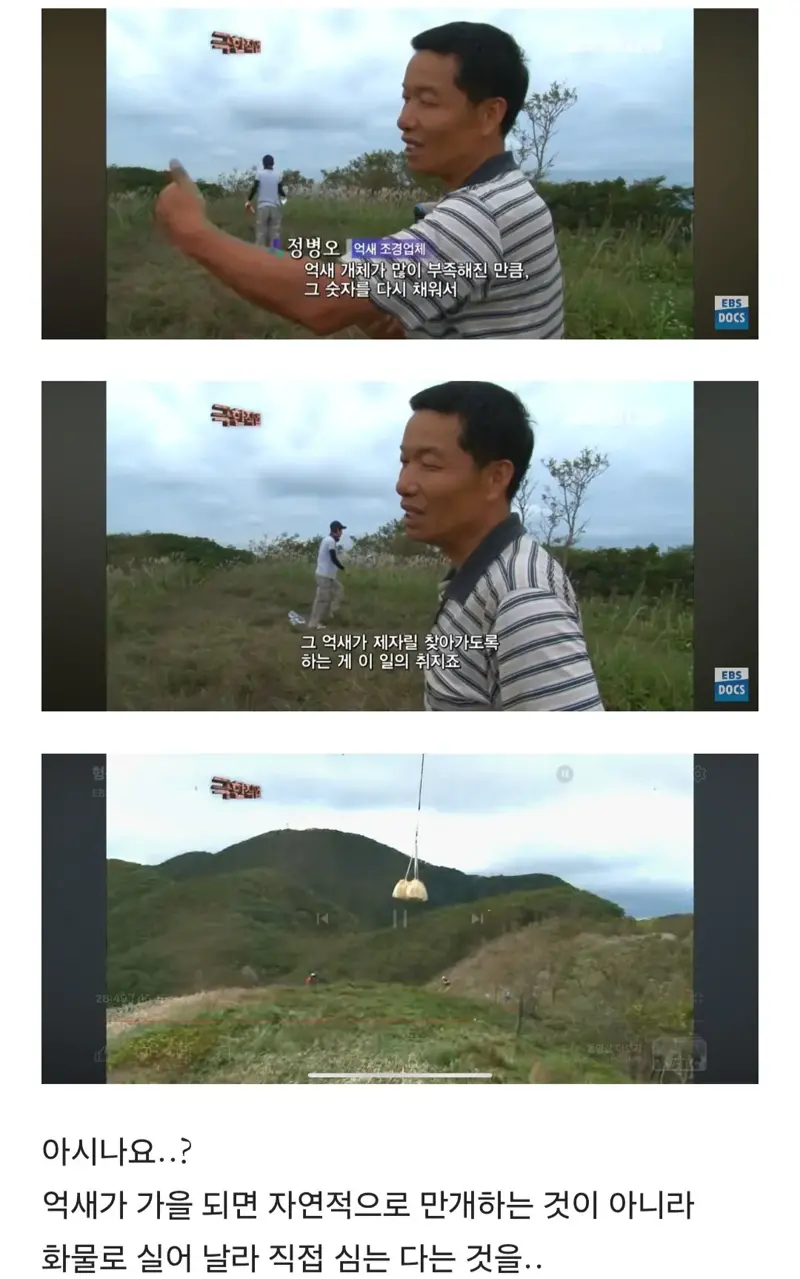 등산로는 누가 어떻게 만드는걸까 (8)