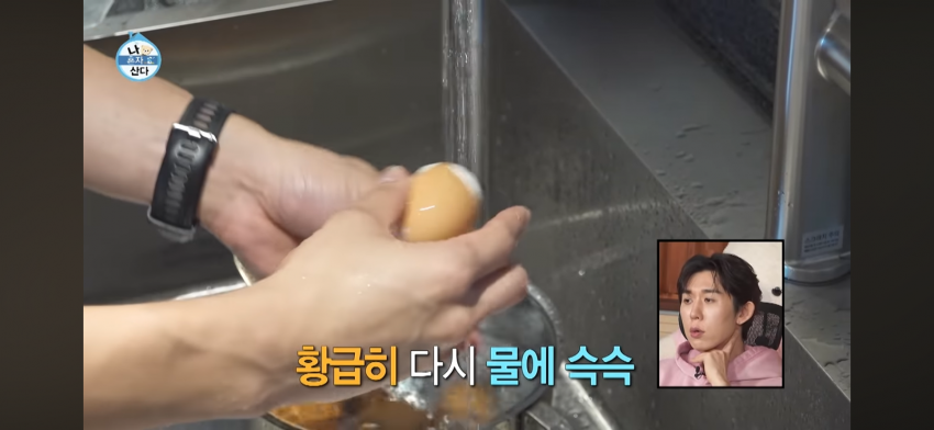 [나혼산] 인천인들은 대부분 다 안다는 계란초 (7)