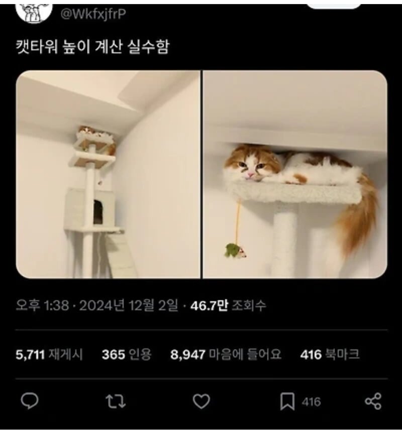 캣타워 높이 계산 실수함
