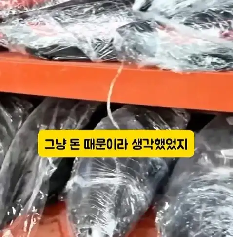 도둑들이 포르셰 눈알만 빼가는 이유