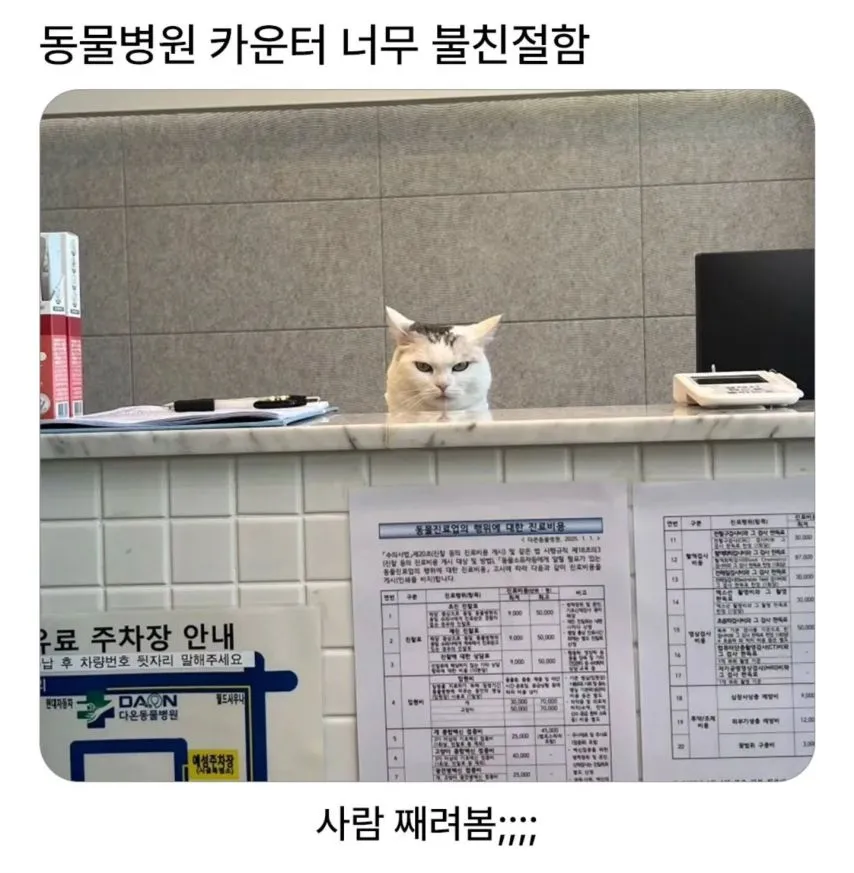 동물병원 카운터 불친절한 직원