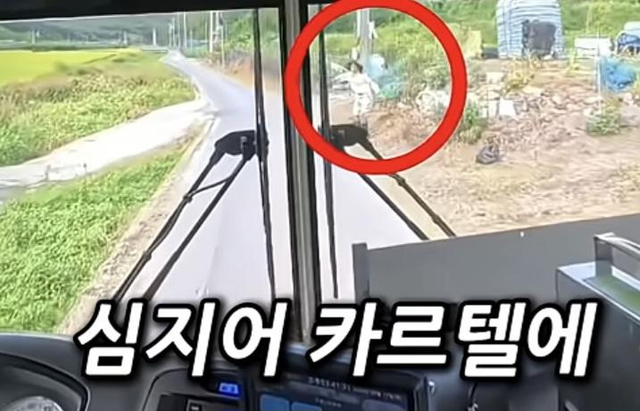 시골 카르텔 (14)