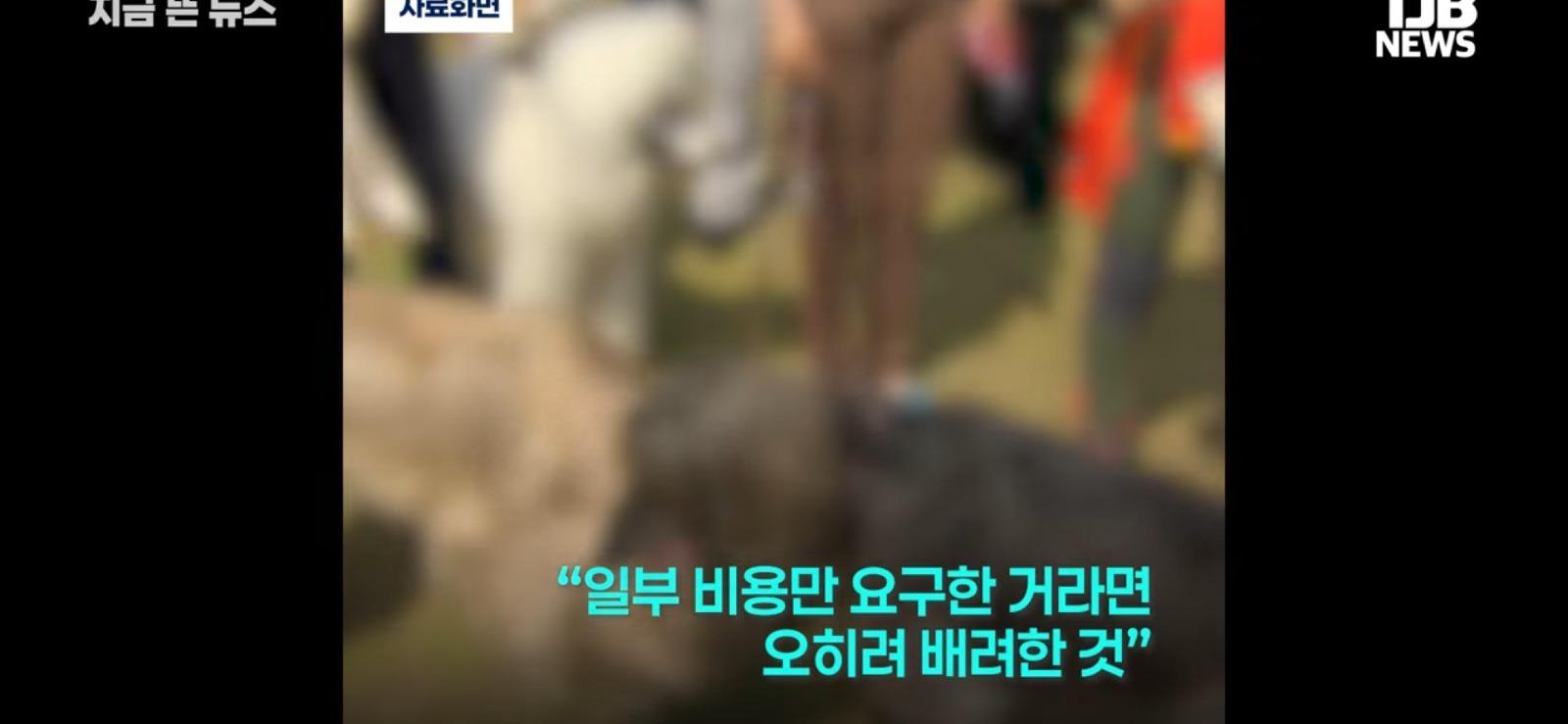 친구 집들이에 개를 데리고 갔더니 벌어진 일 (8)