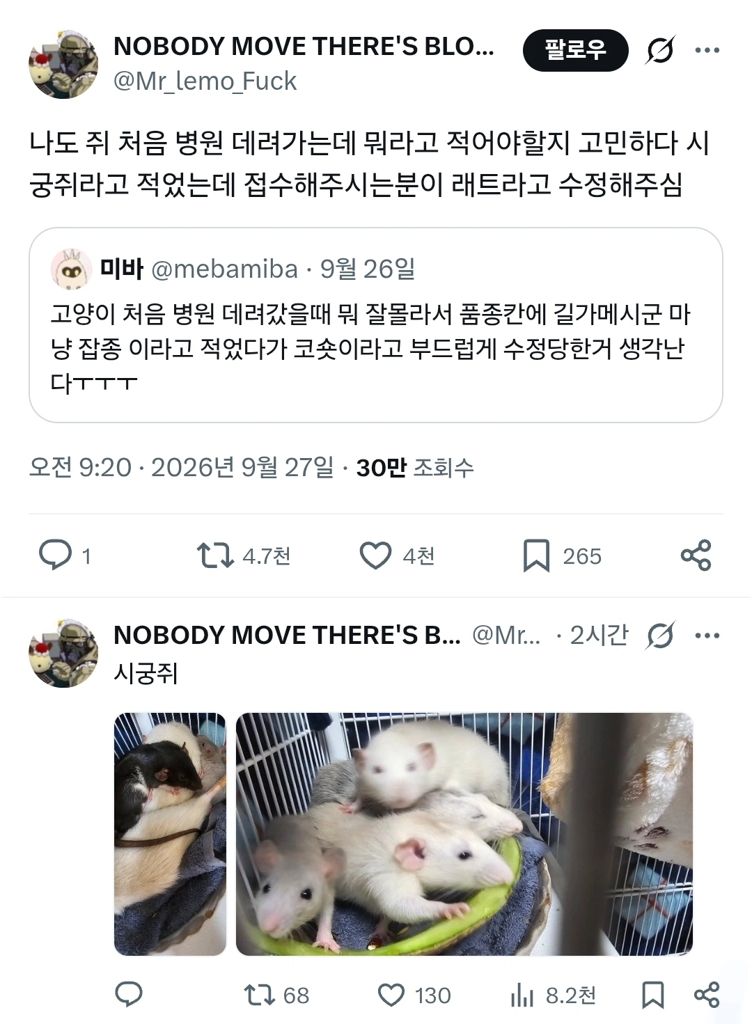 동물병원에선 전문용어를 사용해야됨