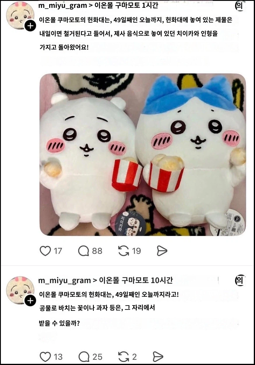 일본 인터넷에서 핫한 치이카와 팬 논란
