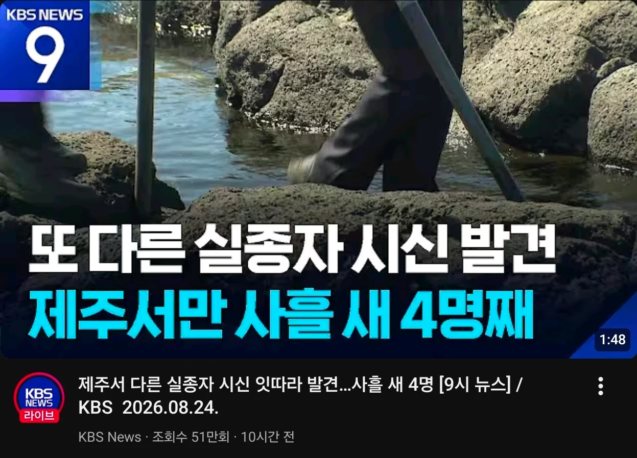 대한민국..... 맞지...?