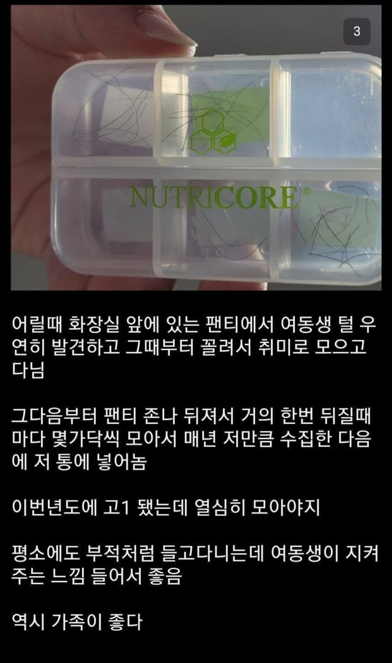 혐주의) 자신의 친여동생 뷰지털을 수집하는 남자... (3)