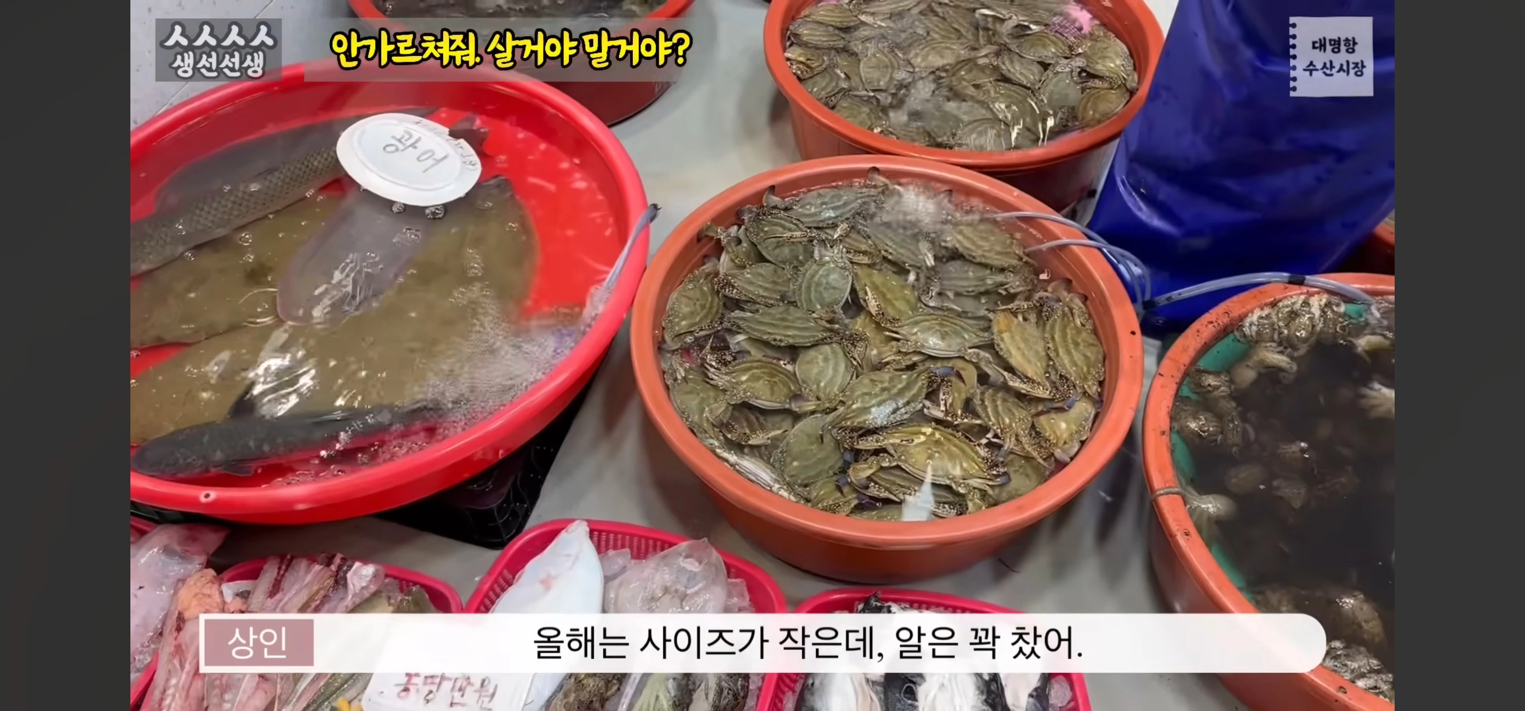 수산시장에서 가격을 물어본 결과.jpg