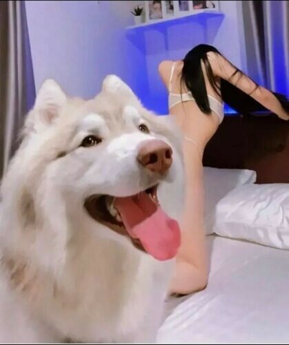 ㅇㅎ) 노출하는 눈나와 철벽수비 (2)