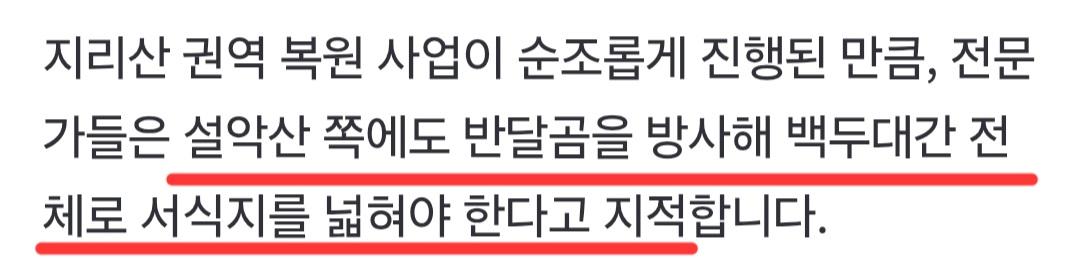 설악산에도 곰 풀어놓자는 전문가들 (11)