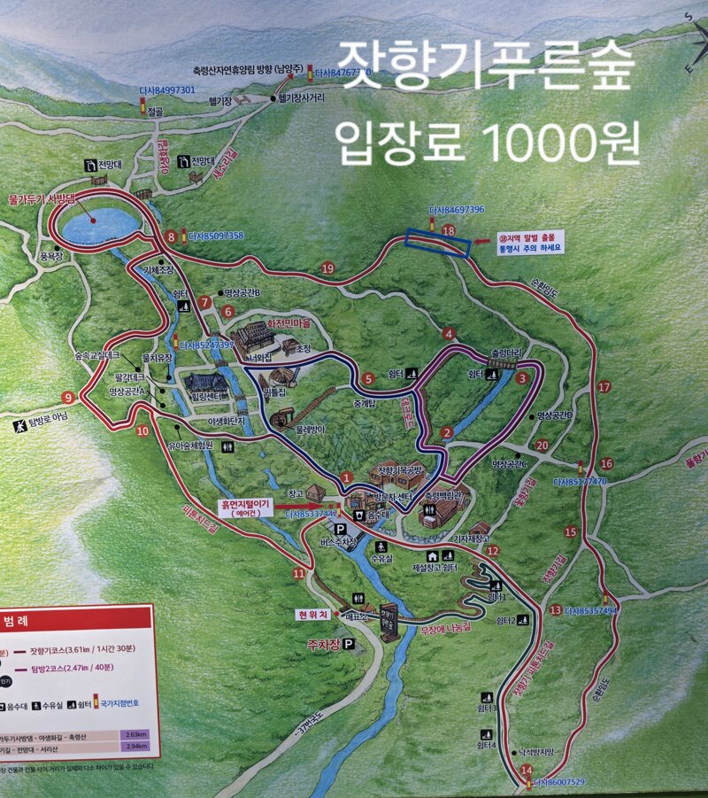 도토리에 이어 다람쥐 많이 볼수있는곳