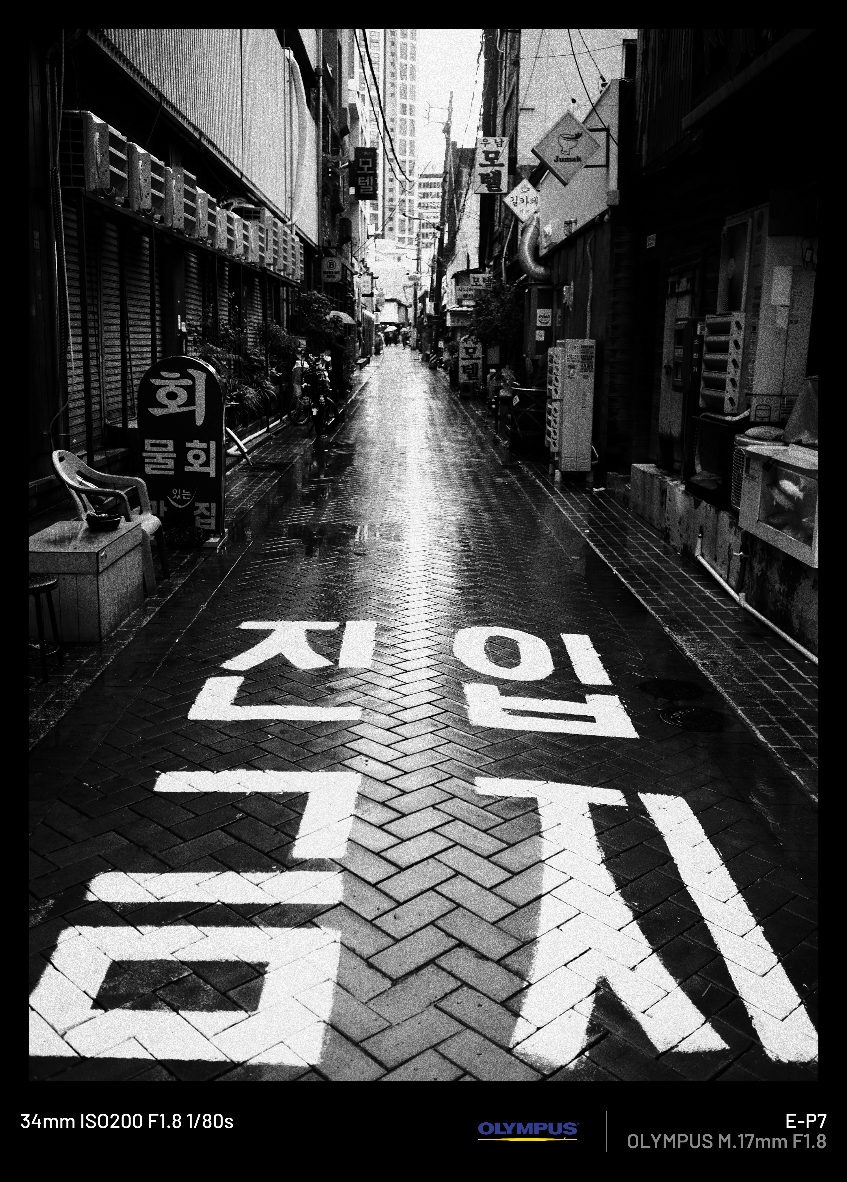 처음 마포 바디 사보고 올리는 디첩 사진들 (2)