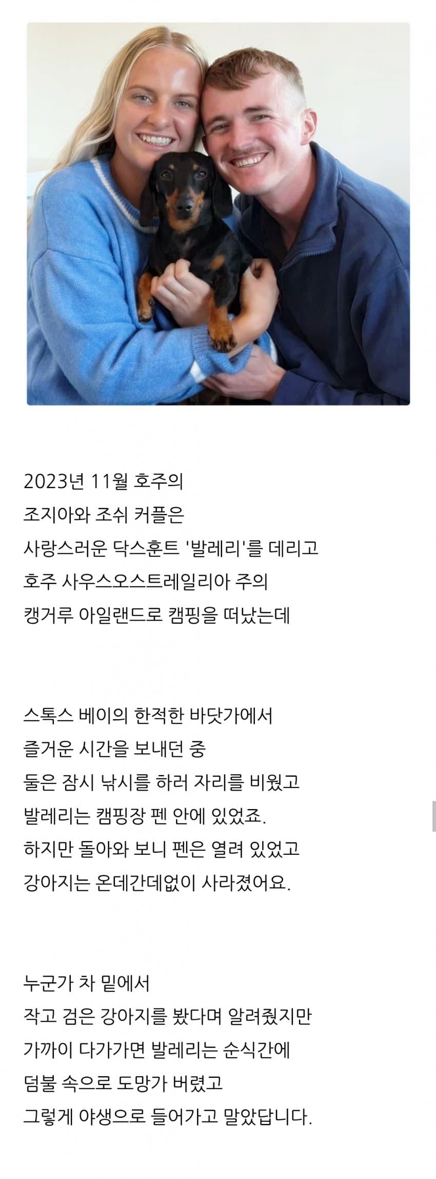 싱글벙글 야생에서 실종된 닥스훈트의 최후..