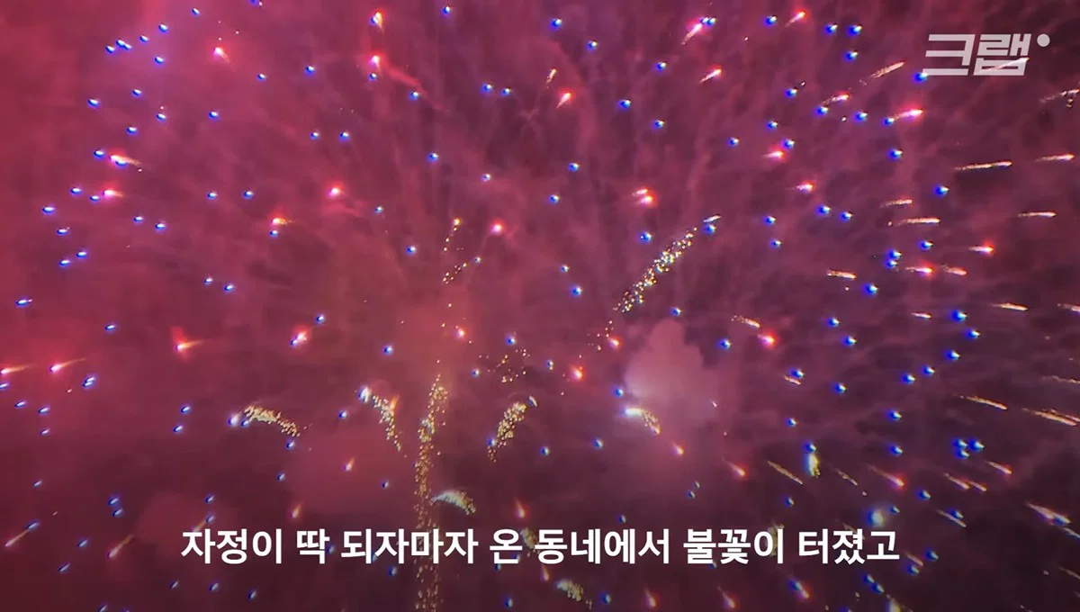 새들에겐 거의 전쟁난 수준이라는 불꽃축제 (9)