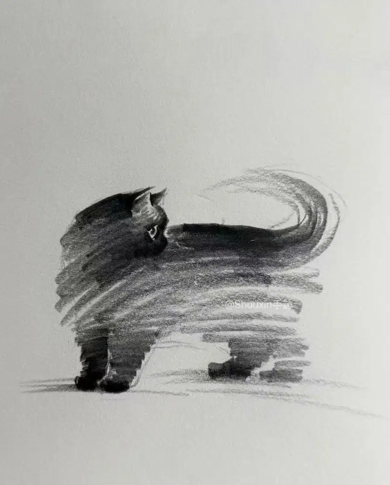 ShouXin 고양이 흑백 모노크롬 (12)