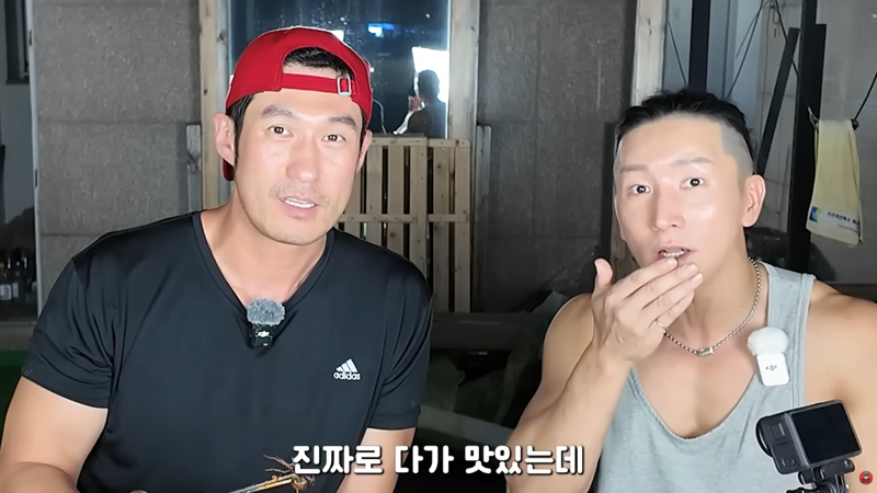 곤충 먹방에 게스트로 나왔다가 결국 곤충의 맛을 알아버린 사람 (12)