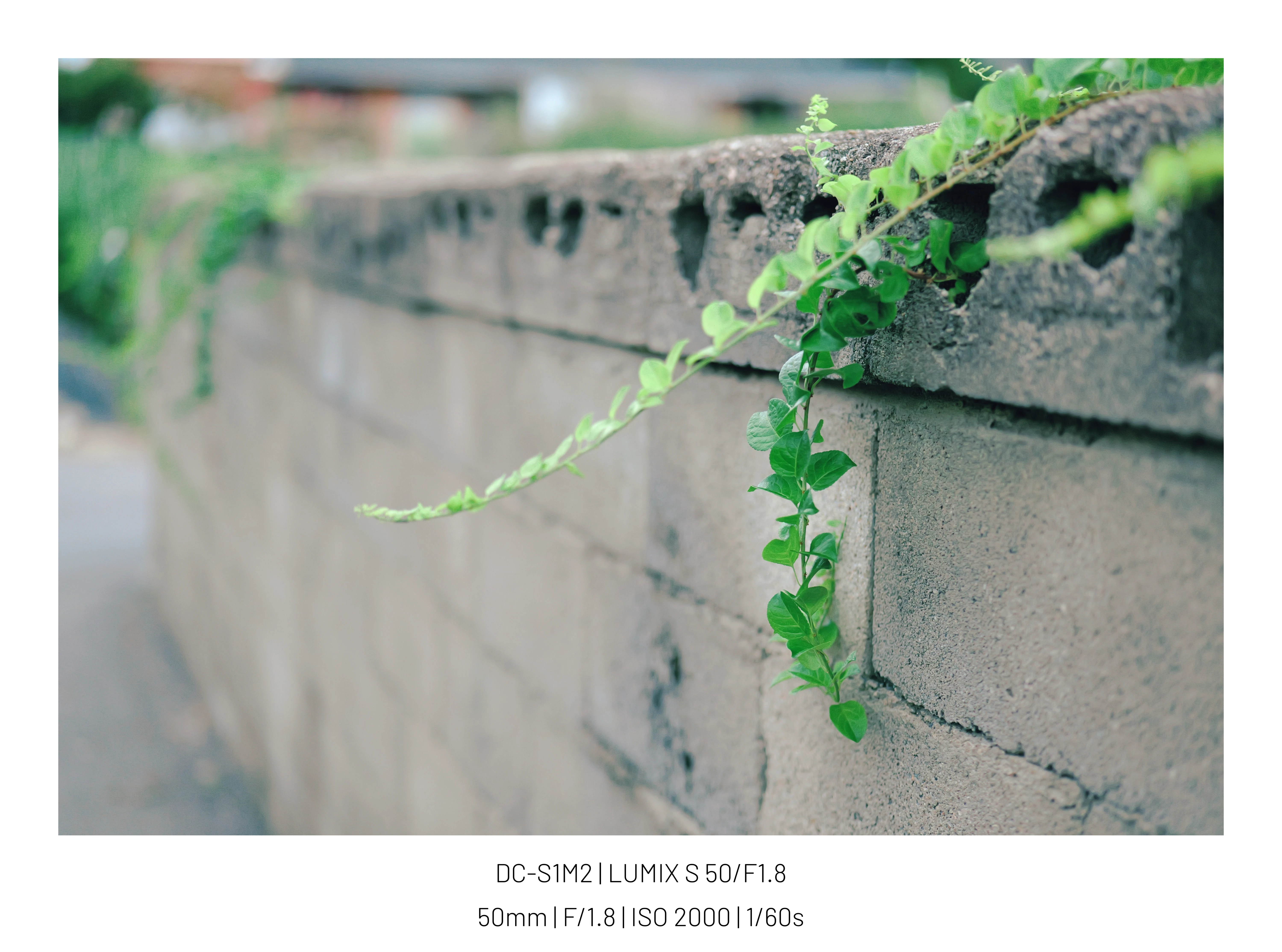 Place, Korea. (25pic (7)