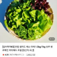 유럽 샐러드 채소 야채 1.5kg