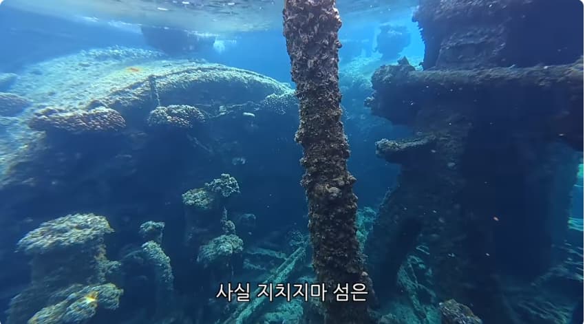 일본 부캉이 등장? 한국인이 좋아서 바다에 다이빙하면서 안부인사해주는일본 (16)