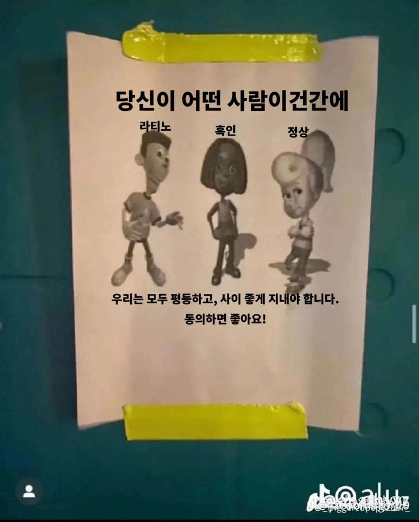 (번역) 사회적으로 올바르지 않은 해외 밈 모음 (5)