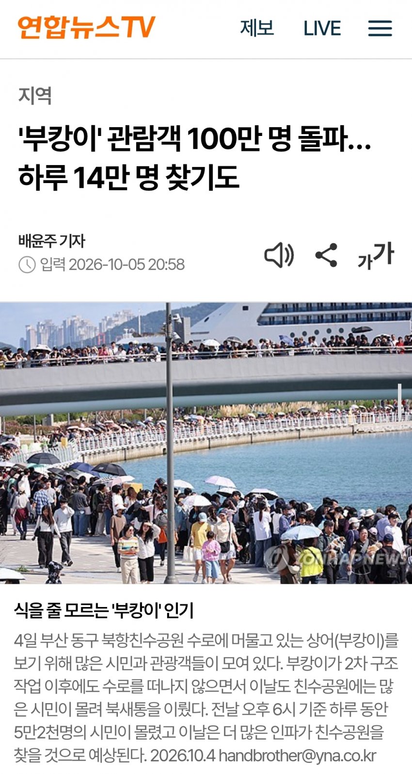 부캉이 보러... 결국 누적 100만명 돌파