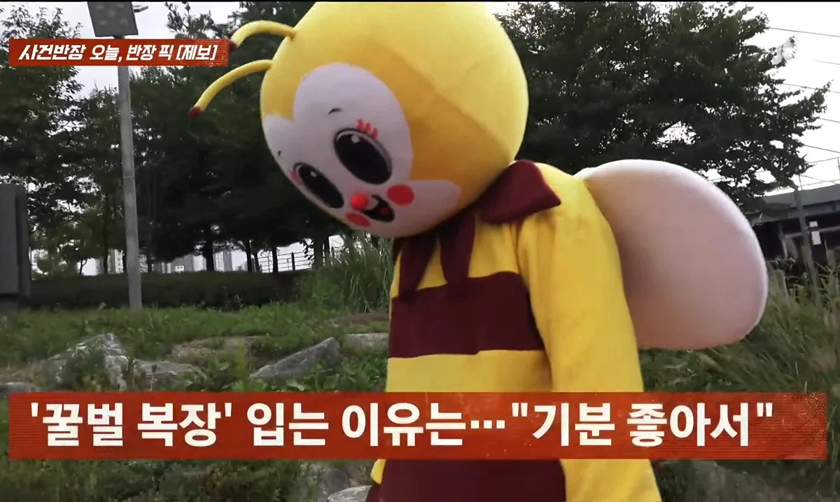 사건반장에 나온 꿀벌 복장 입는 이유 (11)