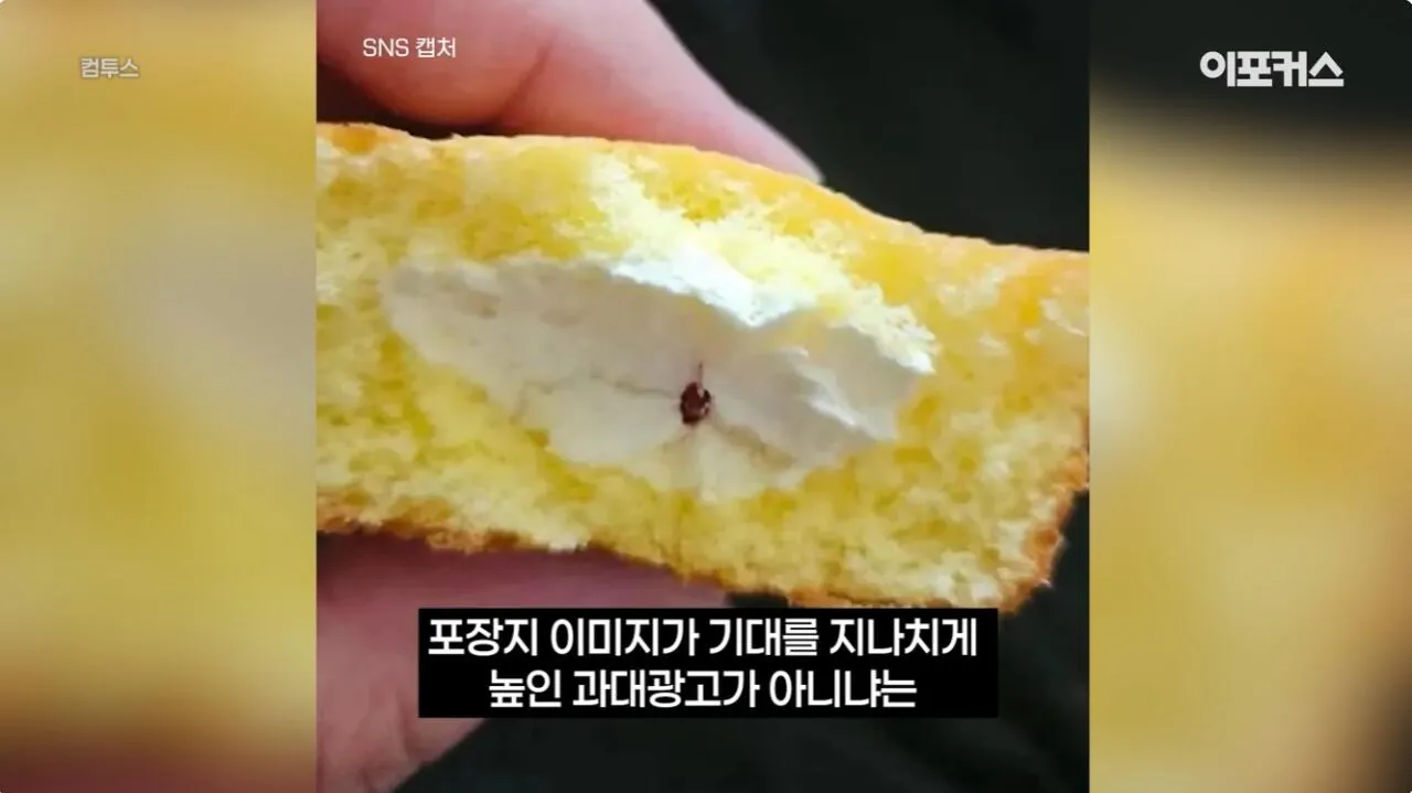 포장지 사진과 너무 달라서 논란이 된 신상 과자. (11)