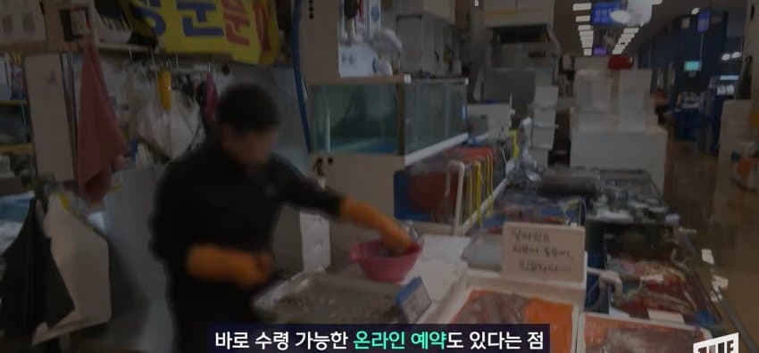 한강 필승 조합이 바꺘다, 회크닉 인기. (28)