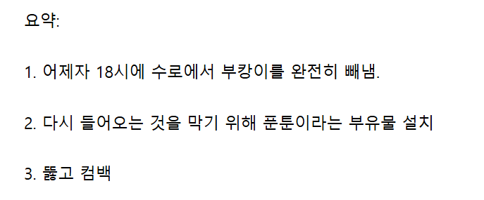 속보?)“부캉아 왜 돌아왔니 ㅠㅠ”…먼 바다로 나간줄 알았더니 전날 밤 수로 재진입 (5)