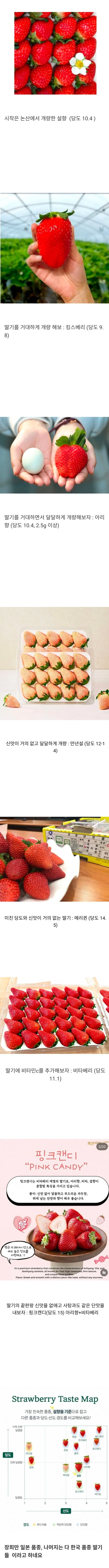 딸기 품종개량 현황