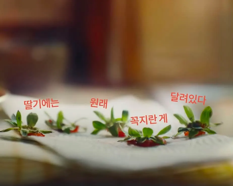 주부들에게 반응 좋다는 스위첸 광고